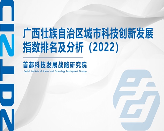 骚逼被插【成果发布】广西壮族自治区城市科技创新发展指数排名及分析（2022）